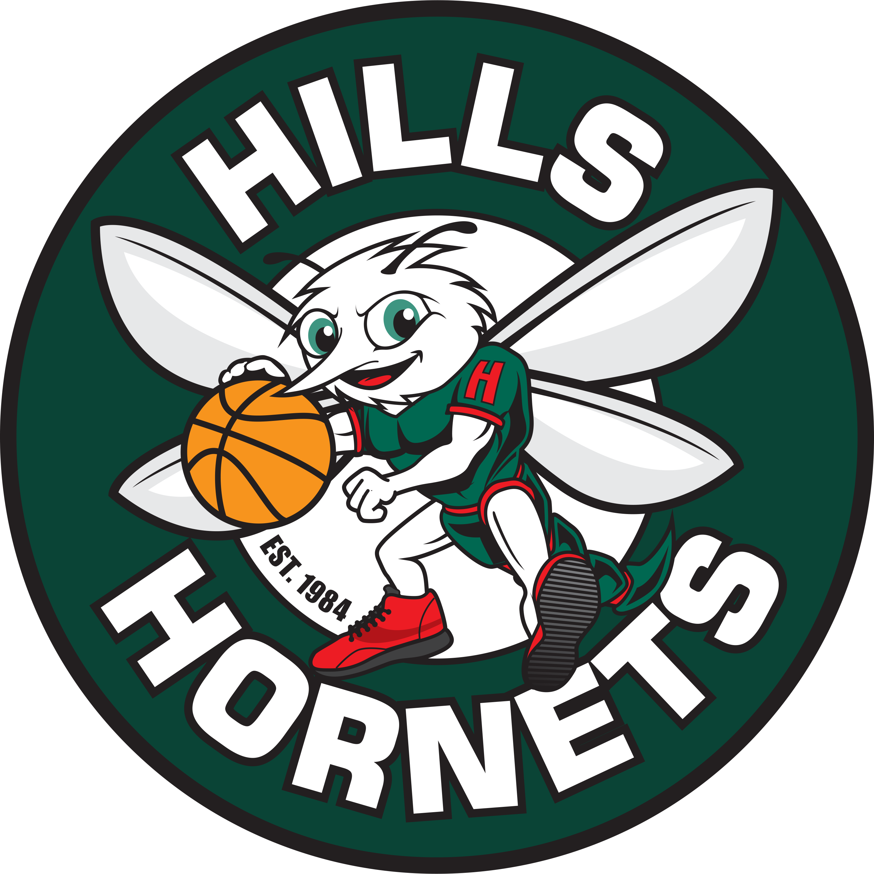 Hills Hornets Basketball Association Inc - Hills Hornets BA Rep Teams Official Photos 2019 ...